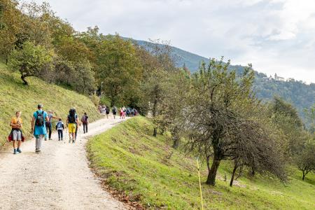 Zopet bomo dobrodelni na Sv. Primožu (3)